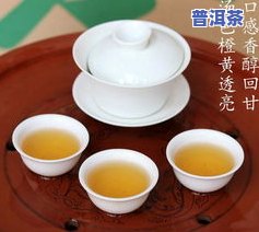 单丛茶属于什么类型的茶？详解其分类与茶系归属