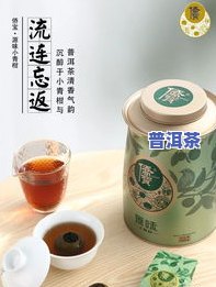 源味小青柑普洱茶：原生态、源缘、柑源堂价格全解析