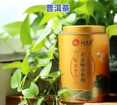 柑源堂小青柑普茶价格全揭秘：品质、口感及市场价格一网打尽！