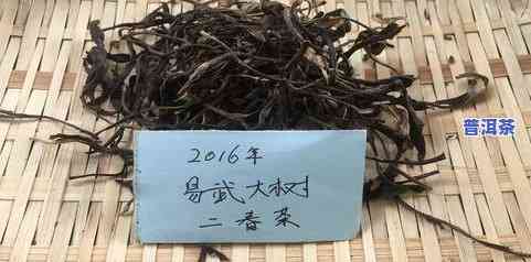 16年大树原料茶叶-16年大树原料茶叶价格多少