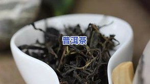 普洱茶全一年的产量-普洱茶全一年的产量是多少