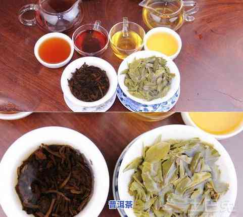 中档普洱茶生茶推荐：价格、品质全面分析