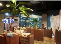 纳姐普洱茶专卖店：全面了解纳姐普洱茶的价格与新品信息