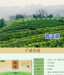 纳溪普洱茶-纳溪茶叶