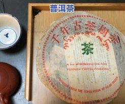 熟普洱茶饼：样式、价格及功效全图鉴