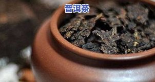 普洱茶标准泡法详解：步骤、图解与视频全攻略