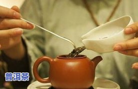 普洱茶标准泡法详解：步骤、图解与视频全攻略