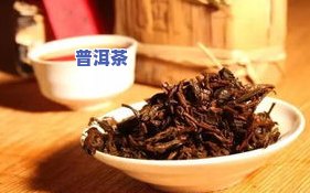 普洱茶蛀虫：还能喝吗？如何处理？是真老吗？解决办法是什么？