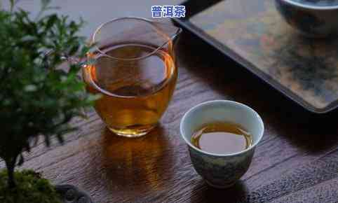 哪种茶适合一直泡在保温杯？茶叶放保温杯里喝一天有害吗？