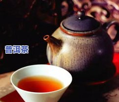 普洱茶心语：品茗人生哲理，感受茶韵之美，探索普洱茶的魅力与韵味。