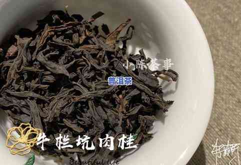 五千块一斤的茶叶有哪些？价格高吗？