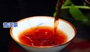 普洱茶任命-普洱茶人物,普洱茶人物大全