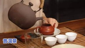 像针尖一样的茶叶：品种、形态与冲泡方法全揭秘