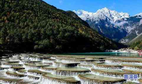 云南普洱茶六大山头冰岛-云南冰岛普洱茶产地