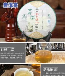 探究普洱茶古树茶：特点、价格与高黎贡山品种