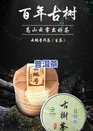 普洱茶京东-普洱茶京东哪家好