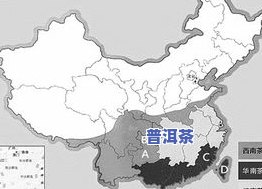 四大茶区及主要茶叶产地：揭示茶叶生产的地理分布与特点