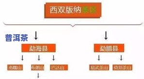 四大茶区及主要茶叶特点全解析