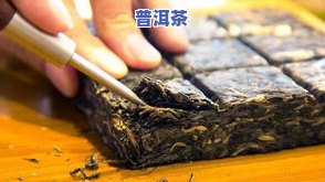 泡茶大概放多少茶叶合适？如何确定茶叶的用量