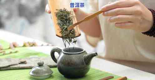 泡茶大概放多少茶叶-泡茶大概放多少茶叶合适