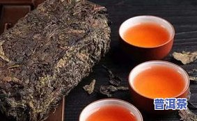 泡一次茶放几颗茶叶更好？合理配比让你享受更佳口感