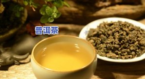 体内有湿热喝普洱茶有用吗？女性适合饮用吗？如何调理湿热体质？