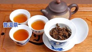 泡一次茶放几颗茶叶-泡一次茶放几颗茶叶好