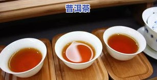 韶华茶是什么茶？探秘名茶之韶华茶的产地与品种