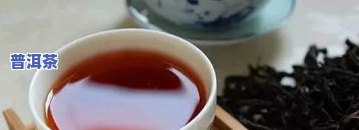 韶华茶是什么茶？探秘名茶之韶华茶的产地与品种