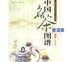 韶华茶是什么茶？探秘名茶之韶华茶的产地与品种