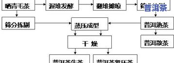 普洱茶工艺流程图文详解：从鲜叶采摘到成品制作全过程