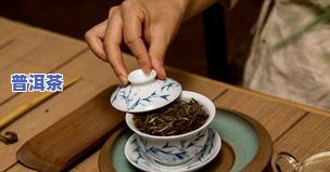 普洱茶茶具介绍：特点、种类与选购指南