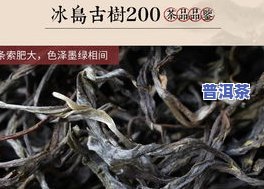 探究冰岛古树普洱茶生茶特点及功效