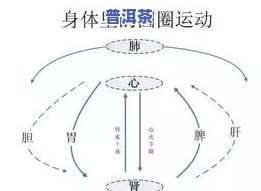 茶叶杀青后摊凉回潮时间及影响因素解析