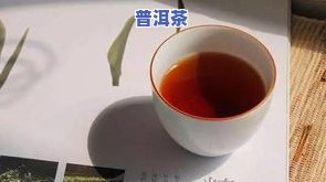 目前的普洱茶品种及其分类与名称