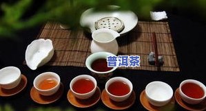 版纳探店普洱茶-版纳探店普洱茶价格