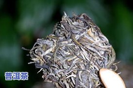 冰岛古树普洱茶生茶特点-冰岛古树普洱茶生茶特点介绍