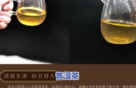 冰岛古树普洱茶生茶特点-冰岛古树普洱茶生茶特点介绍