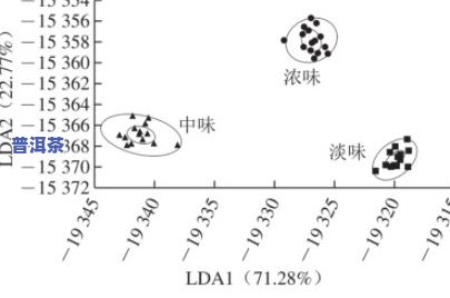 寨子坡普洱茶介绍视频讲解一下，探秘寨子坡普洱茶：深度解析其历史、制作工艺和口感特点