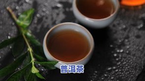 探究普洱茶的木香味：特点、描述与形成原因