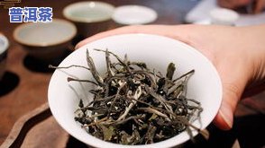 冰岛普洱茶分春茶和秋茶吗？详解春、秋两季茶叶的差别