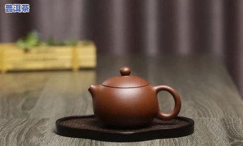 小的茶壶用多少茶叶-小的茶壶用多少茶叶合适