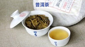 普洱茶冷泡：冲泡方法与一夜变化全解析