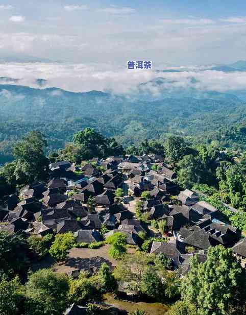 浮山普洱茶-浮山茶叶是哪里的