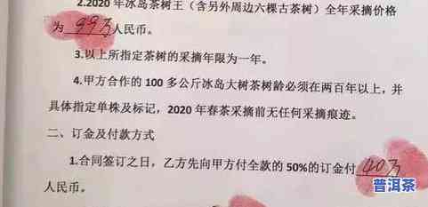 古树冰岛茶：生普还是熟普？探讨其品种与冲泡方法