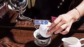 开会泡茶：如何选择合适的茶叶量？