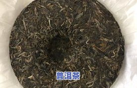 冰岛孔雀早春老树茶：鉴赏与品饮指南