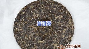 普洱茶冰岛孔雀系列口感怎样？评测包含冰岛孔雀生茶、2018蓝印纪念版及早春老树茶