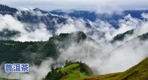 临沧四大雪山普洱茶介绍-临沧四大雪山普洱茶的特点和区别