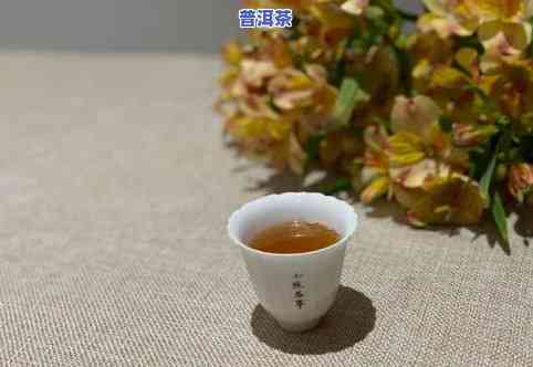 冲茶一次放多少茶叶-冲茶一次放多少茶叶合适